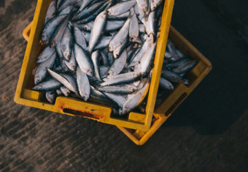 importaciones pescado aranceles