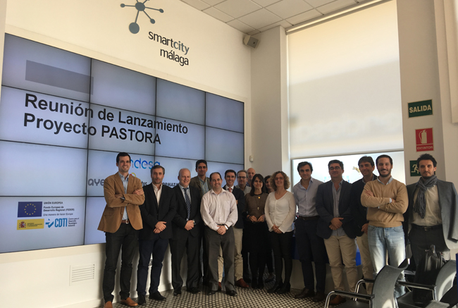 endesa proyecto pastora