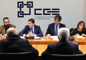 vicepresidente ceg