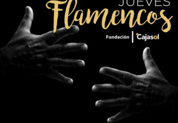cajasol jueves-flamencos