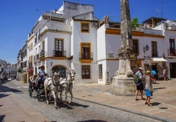 afiliados turismo septiembre