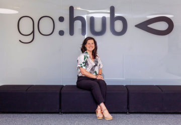 gohub startups