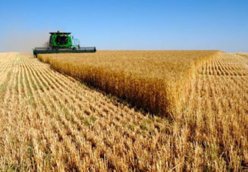 agricultura pago pac