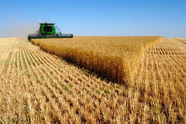 agricultura pago pac