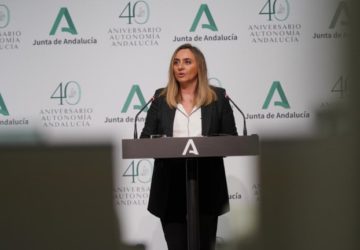 junta ayudas alquiler