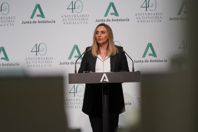 junta ayudas alquiler