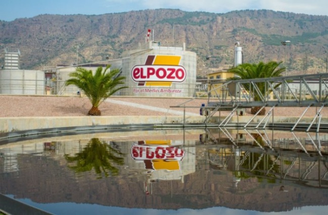 EL POZO DEPURADORA