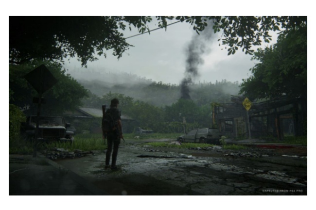 The Last of Us