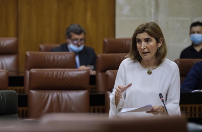 junta empleo discapacidad