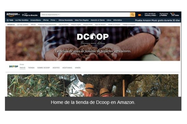 dcoop amazon