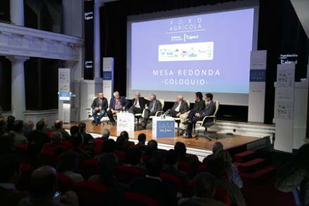 31973826794_77980fb8a3_o