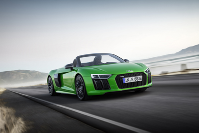 Dynamic photo Colour: Micrommata green