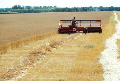 Agricultor