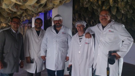 Australia cocinero F