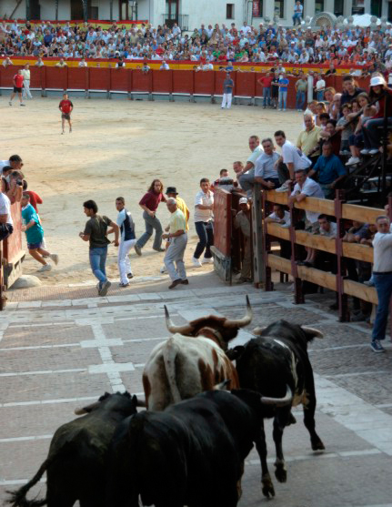 FOTO_Chinchon_Toros_18072012_1