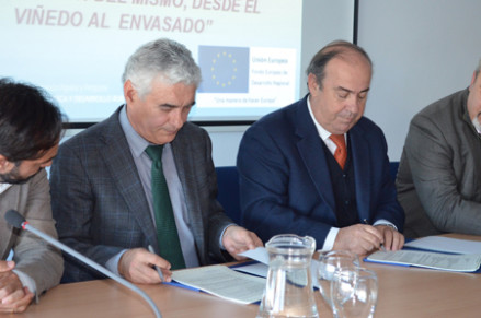 Firma_de_proyecto