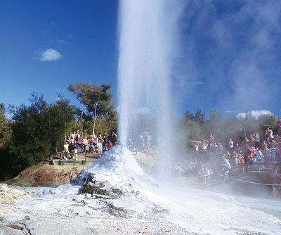Lady Knox Geyser_Nueva Zelanda Tours